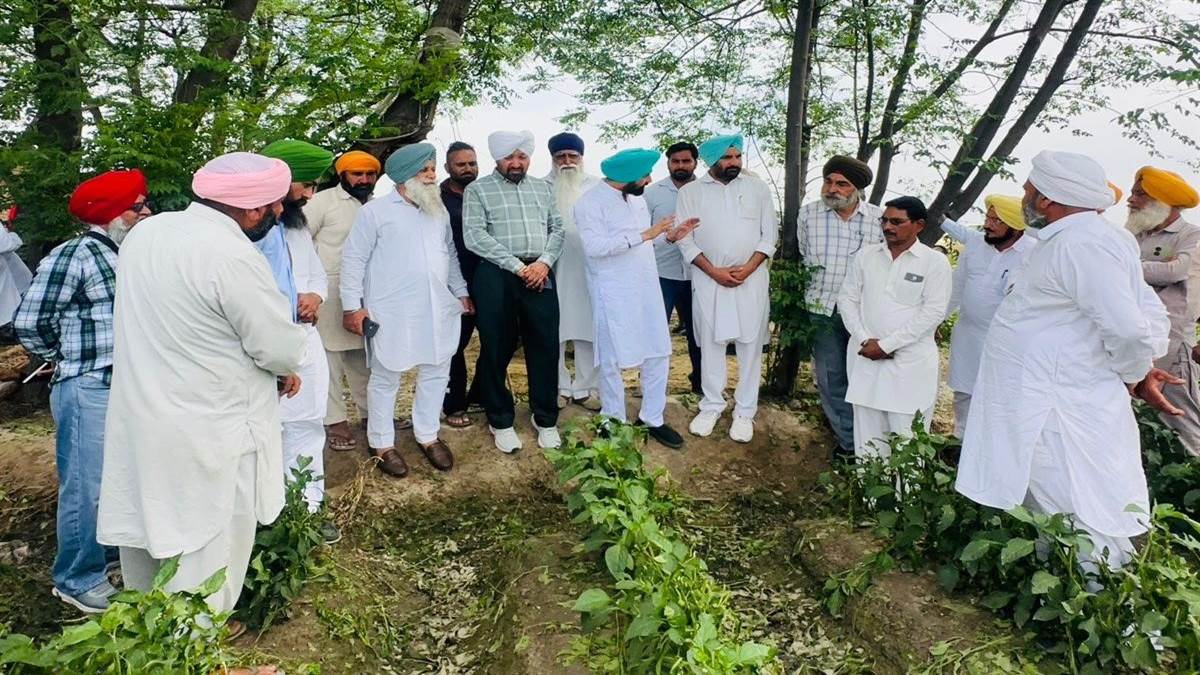 ਵਿਧਾਇਕ ਬਣਾਂਵਾਲੀ ਵੱਲੋਂ ਸਰਦੂਲਗੜ੍ਹ ਦੇ ਗੜੇਮਾਰੀ ਪ੍ਰਭਾਵਿਤ ਪਿੰਡਾਂ ਦਾ ਦੌਰਾ