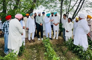 ਵਿਧਾਇਕ ਬਣਾਂਵਾਲੀ ਵੱਲੋਂ ਸਰਦੂਲਗੜ੍ਹ ਦੇ ਗੜੇਮਾਰੀ ਪ੍ਰਭਾਵਿਤ ਪਿੰਡਾਂ ਦਾ ਦੌਰਾ