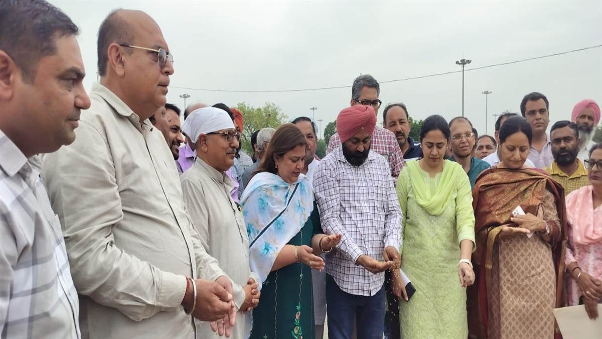 ਸਰਕਾਰ ਕਣਕ ਦਾ ਇਕ ਇਕ ਦਾਣਾ ਖਰੀਦਣ ਲਈ ਵਚਨਵੱਧ : ਵਿਧਾਇਕਾ ਮਿੱਤਲ