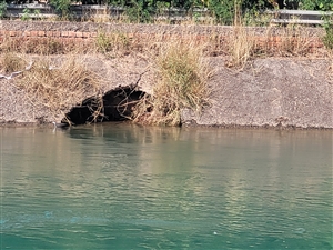 ਲਾਛੜੂ ਖੁਰਦ ਨੇੜੇ ਨਰਵਾਣਾ ਬ੍ਰਾਂਚ ਨਹਿਰ |ਚ ਪਾੜ ਪੈਣ ਦਾ ਖ਼ਦਸ਼ਾ