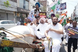 ਮਹਿੰਗਾਈ ਵਿਰੁੱਧ ਕਾਂਗਰਸ ਦਾ ਵੱਡਾ ਪ੍ਰਦਰਸ਼ਨ: ਤੇਲ ਤੇ ਗੈਸ ਦੀਆਂ ਵਧੀਆਂ ਕੀਮਤਾਂ ਖ਼ਿਲਾਫ਼ ਖੱਚਰ ਰੇਹੜੀ ’ਤੇ ਚੜ੍ਹ ਕੇ ਜਤਾਇਆ ਅਨੋਖਾ ਰੋਸ