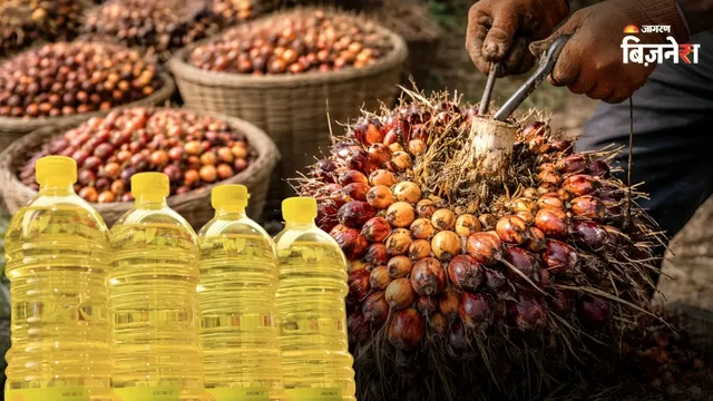 Crude Palm Oil ਦੀ ਇੰਪੋਰਟ ਡਿਊਟੀ ਵਧਾਉਣ ਦੀ ਮੰਗ ਤੇਜ਼, ਭਾਰਤੀ ਕਿਸਾਨਾਂ ਨੂੰ ਹੋਵੇਗਾ ਵੱਡਾ ਫ਼ਾਇਦਾ?