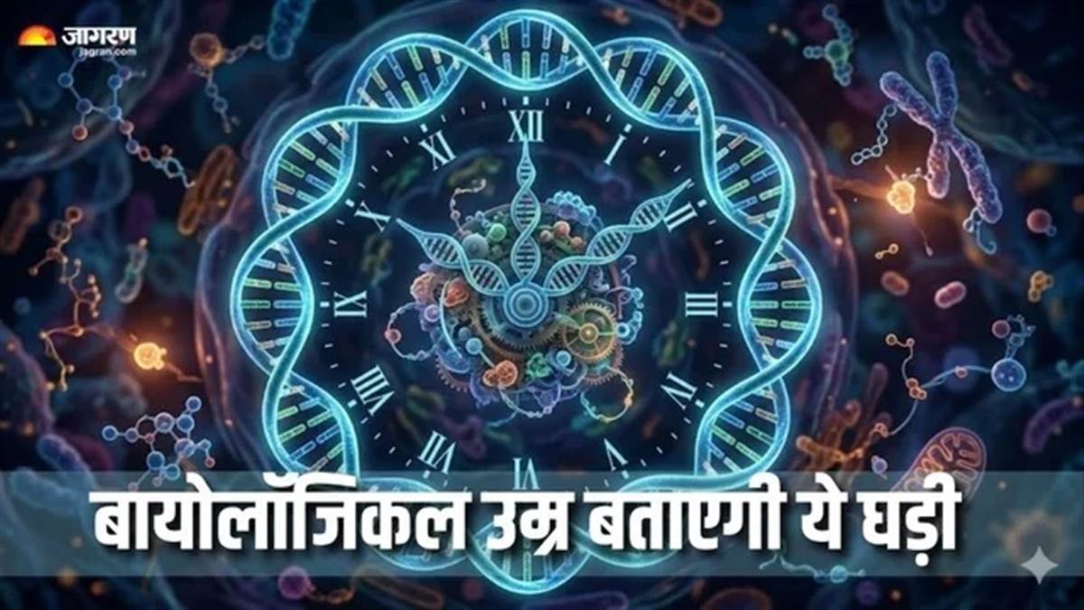 ਤੁਹਾਡੀ ਅਸਲੀ ਉਮਰ ਕੀ ਹੈ? ਕੈਲੰਡਰ ਨਹੀਂ, ਹੁਣ ਸਰੀਰ ਦੀ 'ਜੀਨ ਕਲਾਕ' ਖੋਲ੍ਹੇਗੀ ਤੁਹਾਡੇ ਬੁਢਾਪੇ ਅਤੇ ਸਿਹਤ ਦੇ ਰਾਜ਼