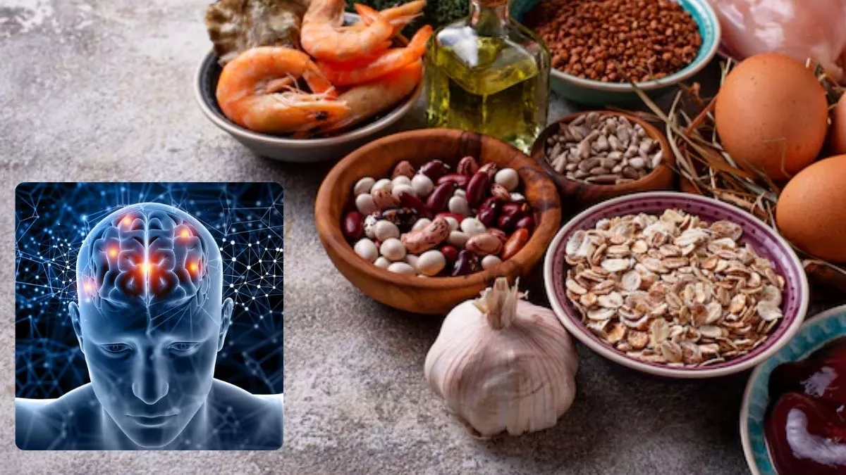 Copper-Rich ਡਾਈਟ ਨਾਲ ਵਧੇਗੀ ਦਿਮਾਗੀ ਸ਼ਕਤੀ, ਡਿਮੈਂਸ਼ੀਆ ਤੋਂ ਬਚਾਅ ਲਈ ਵੀ ਮਿਲੇਗੀ ਮਦਦ, ਨਵੇਂ ਅਧਿਐਨ ’ਚ ਖੁਲਾਸਾ