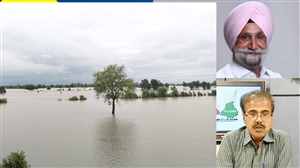 ਸੰਸਦ ਮੈਂਬਰ ਸੁਖਜਿੰਦਰ ਰੰਧਾਵਾ ਨੇ ਸਰਕਾਰ ਨੇ ਸਾਧਿਆ ਨਿਸ਼ਾਨਾ, ਕਿਹਾ-ਪੰਜਾਬ 'ਚ ਹੜ੍ਹਾਂ ਲਈ ਪ੍ਰਮੁੱਖ ਸਕੱਤਰ ਕ੍ਰਿਸ਼ਨ ਕੁਮਾਰ ਜ਼ਿੰਮੇਵਾਰ