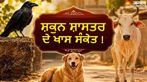 ਸਵੇਰੇ ਦੀ ਪਹਿਲੀ ਨਜ਼ਰ ਗਾਂ, ਕਾਂ ਜਾਂ ਕੁੱਤੇ ’ਤੇ ਪਵੇ ਤਾਂ ਕੀ ਹੁੰਦਾ ਹੈ, ਕਿਸ ਗੱਲ ਦਾ ਇਸ਼ਾਰਾ ਦਿੰਦਾ ਹੈ ਸ਼ਕੁਨ ਸ਼ਾਸਤਰ?