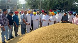 ਗਹਿਰੀ ਮੰਡੀ ’ਚ ਈਟੀਓ ਨੇ ਝੋਨੇ ਦੀ ਸਰਕਾਰੀ ਖ਼ਰੀਦ ਕਰਵਾਈ ਸ਼ੁਰੂ