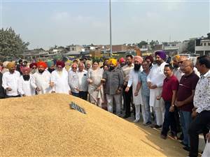 ਕਪੂਰਥਲਾ ਅਨਾਜ ਮੰਡੀ ’ਚ ਝੋਨੇ ਦੀ ਖਰੀਦ ਸ਼ੁਰੂ