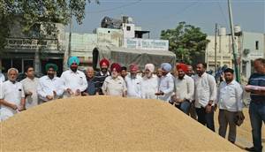 ਏਸ਼ੀਆ ਦੀ ਸਭ ਤੋਂ ਵੱਡੀ ਮੰਡੀ ਖੰਨਾ 'ਚ ਝੋਨੇ ਦੀ ਸਰਕਾਰੀ ਖ਼ਰੀਦ ਸ਼ੁਰੂ, ਕਿਸਾਨ ਦੀ ਪਹਿਲੀ ਢੇਰੀ ਐਮਐਸਪੀ 'ਤੇ ਵਿਕੀ