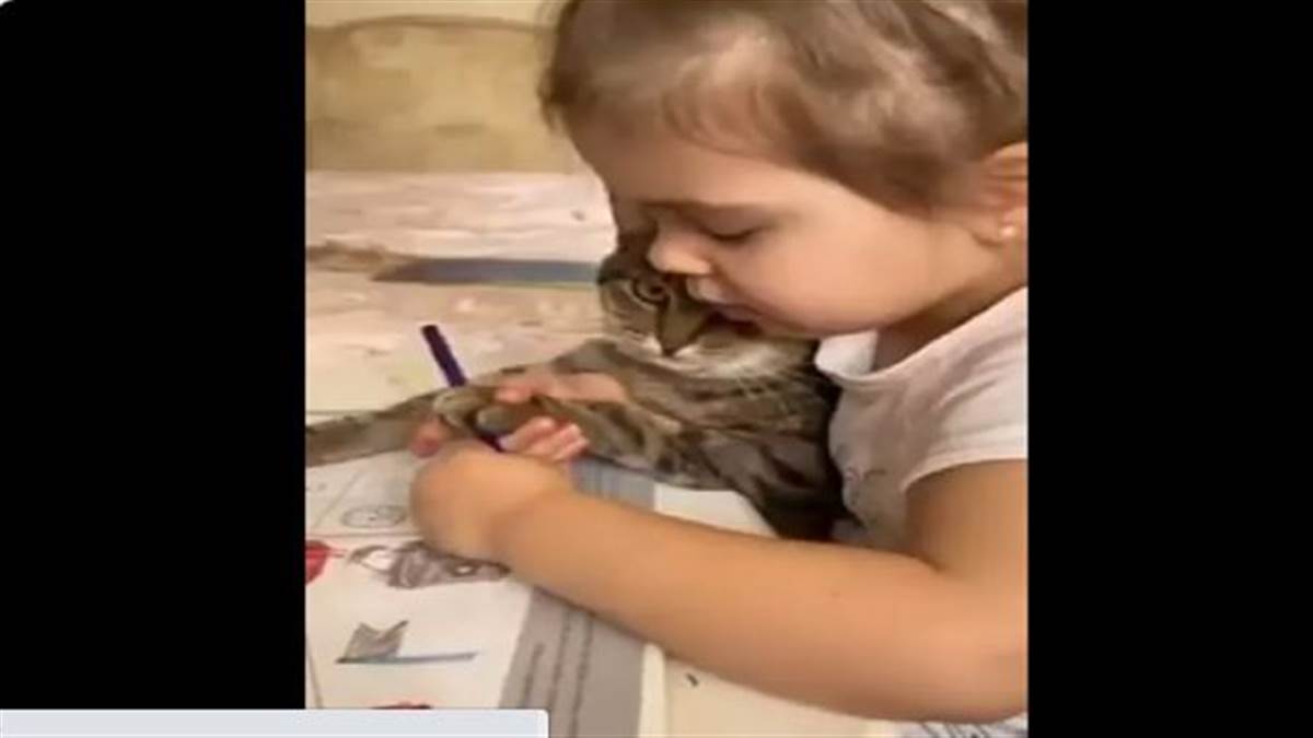 Viral Video Unhappy about doing forced homework the cat gave such a reaction the video went viral