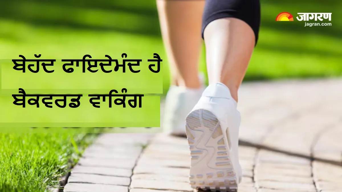 ਸਰੀਰ ਤੇ ਦਿਮਾਗ਼ ਦੋਵਾਂ ਨੂੰ ਸੁਪਰਚਾਰਜ ਕਰਦੀ ਹੈ 'ਰੈਟਰੋ ਵਾਕਿੰਗ', ਤੁਹਾਨੂੰ ਹੈਰਾਨ ਕਰ ਦੇਣਗੇ ਇਸ ਦੇ 5 ਫਾਇਦੇ