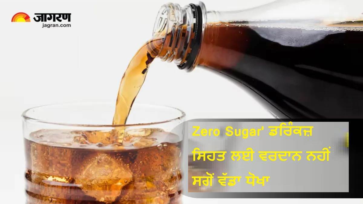 ਸਾਵਧਾਨ! 'Zero Sugar' ਡਰਿੰਕਜ਼ ਸਿਹਤ ਲਈ ਵਰਦਾਨ ਨਹੀਂ ਸਗੋਂ ਵੱਡਾ ਧੋਖਾ, ਹਾਰਟ ਸਪੈਸ਼ਲਿਸਟ ਨੇ ਦਿੱਤੀ ਗੰਭੀਰ ਚਿਤਾਵਨੀ