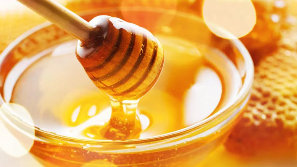 ਭਾਰਤ ਦਾ ਕਿਹੜਾ ਸ਼ਹਿਰ ਕਹਾਉਂਦਾ ਹੈ 'City of Honey'... ਕੀ ਤੁਸੀਂ ਜਾਣਦੇ ਹੋ ਇਸ ਦਾ ਨਾਂ?