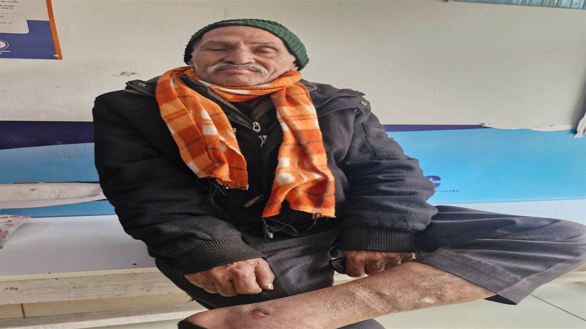 ਆਵਾਰਾ ਕੁੱਤਿਆਂ ਨੇ 2 ਬਜ਼ੁਰਗਾਂ ਸਮੇਤ 5 ਜਣਿਆਂ ਨੂੰ ਵੱਢਿਆ