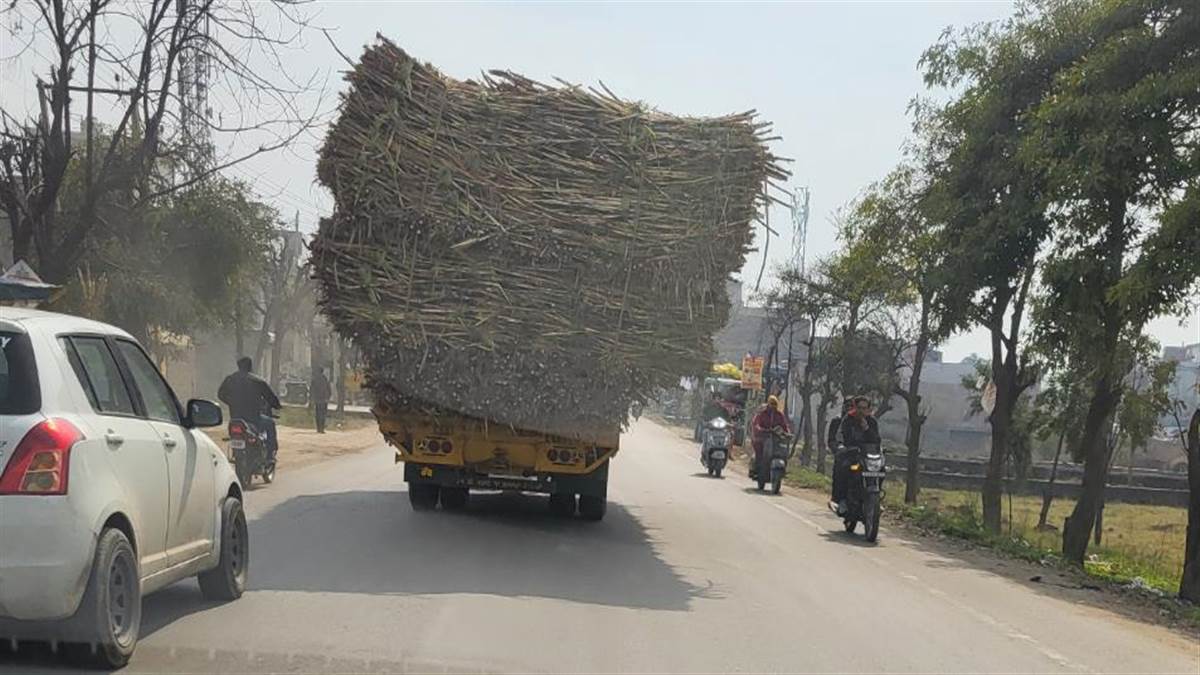 ਟਰਾਲੀਆਂ ਦੇ ਟਰਾਲੇ ਬਣਾ ਕੇ ਕੀਤੀ ਵਰਤੋਂ ਬਣਦੀ ਲੋਕਾਂ ਲਈ ਘਾਤਕ