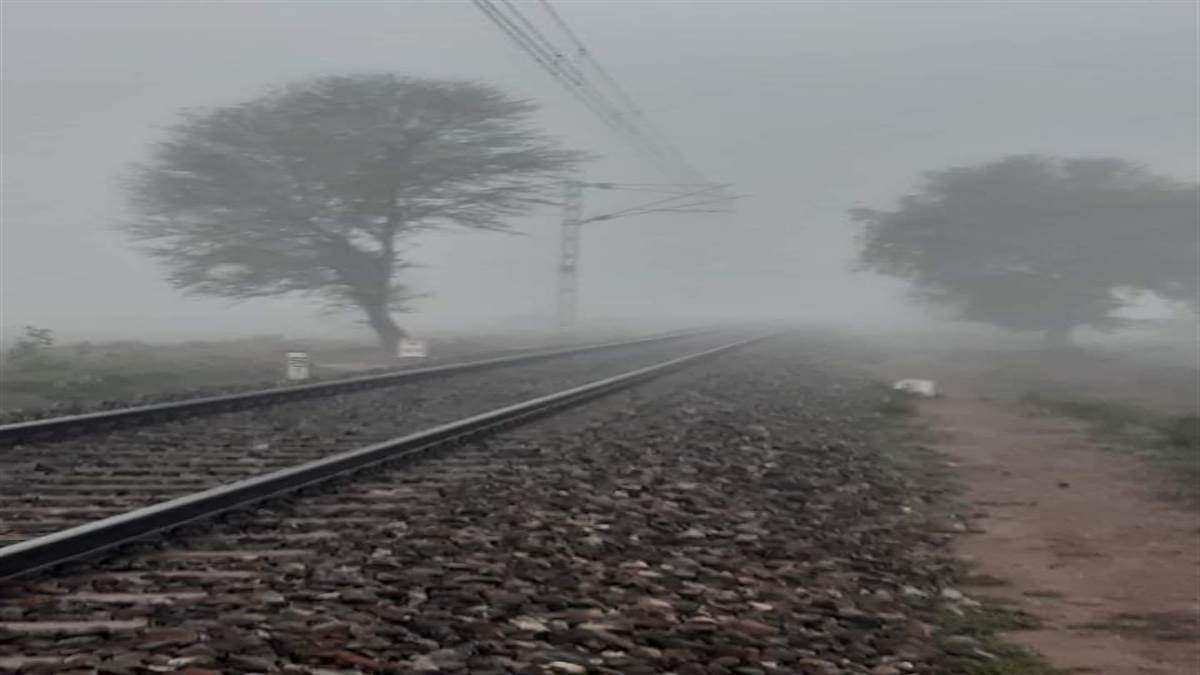 Punjab weather update Fog like January appeared in Punjab on Sunday morning the weather turned cold