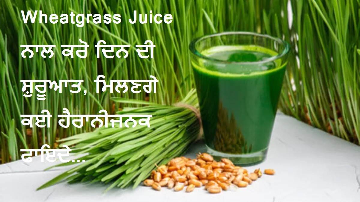 Wheatgrass Juice ਦਿਨ ਦੀ ਸ਼ੁਰੂਆਤ ਕਰੋ Wheatgrass Juice ਨਾਲ, ਤੁਹਾਨੂੰ