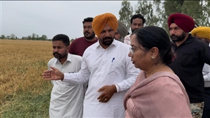 ਡਾ. ਬਲਜੀਤ ਕੌਰ ਨੇ ਗੜ੍ਹੇਮਾਰੀ ਨਾਲ ਹੋਏ ਨੁਕਸਾਨ ਦਾ ਲਿਆ ਜਾਇਜ਼ਾ