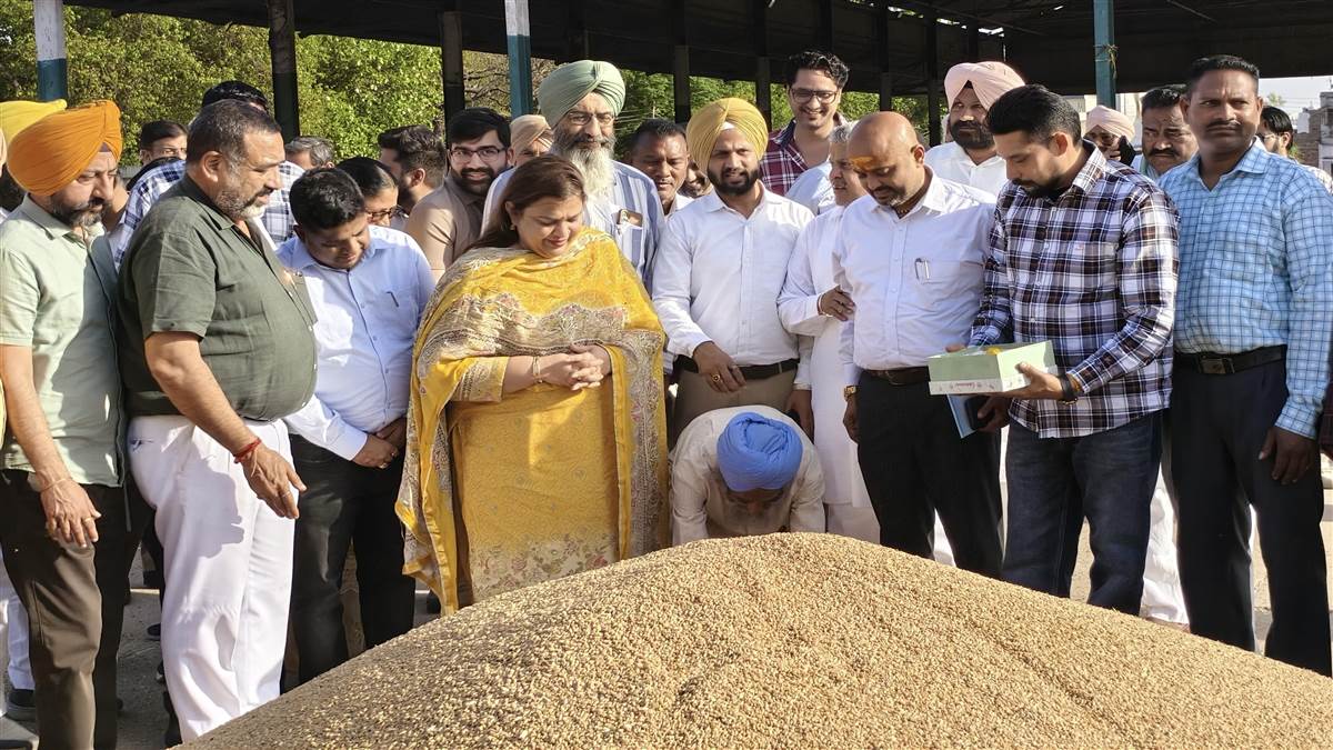 ਬਨੂੜ ਮੰਡੀ ਵਿਚ ਕਣਕ ਖਰੀਦ ਸ਼ੁਰੂ, ਪਹਿਲੇ 100 ਕੁਇੰਟਲ ਵਿਕੇ