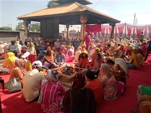 ਮਾਂ ਬਗਲਾ ਮੁਖੀ ਧਾਮ ‘ਚ ਹਨੂੰਮਾਨ ਜਯੰਤੀ ਮੌਕੇ ਮਹਾਂ ਹਵਨ ਯੱਗ, ਸੰਗਤਾਂ ਦੀ ਵੱਡੀ ਸ਼ਮੂਲੀਅਤ