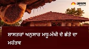 ਮਧੂ-ਮੱਖੀ ਹੈ ਮਾਂ ਲਕਸ਼ਮੀ ਦੀ ਦੂਤ, ਪਰ ਘਰ ਦੀ ਇਸ ਜਗ੍ਹਾ 'ਤੇ ਛੱਤਾ ਹੋਣਾ ਲਿਆਉਂਦਾ ਹੈ ਭਾਰੀ ਕੰਗਾਲੀ ਤੇ ਅਸ਼ਾਂਤੀ!