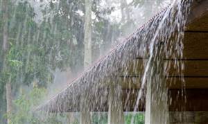 Weather Update: ਪੰਜਾਬ ’ਚ ਮੌਨਸੂਨ ਮੁੜ ਸਰਗਰਮ, ਪੰਜ ਤੱਕ ਕਈ ਜ਼ਿਲ੍ਹਿਆਂ ’ਚ ਭਾਰੀ ਮੀਂਹ ਦਾ ਯੈਲੋ ਅਲਰਟ ਜਾਰੀ