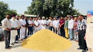 ਧਰਮਕੋਟ ਦੀ ਅਨਾਜ ਮੰਡੀ ‘ਚ ਝੋਨੇ ਦੀ ਸਰਕਾਰੀ ਖਰੀਦ ਦਾ ਆਗਾਜ਼