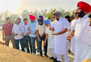 ਦੁੱਧਨਸਾਧਾਂ ਮੰਡੀ ’ਚ ਹਡਾਣਾ ਨੇ ਝੋਨੇ ਦੀ ਖਰੀਦ ਦਾ ਕੀਤਾ ਉਦਘਾਟਨ