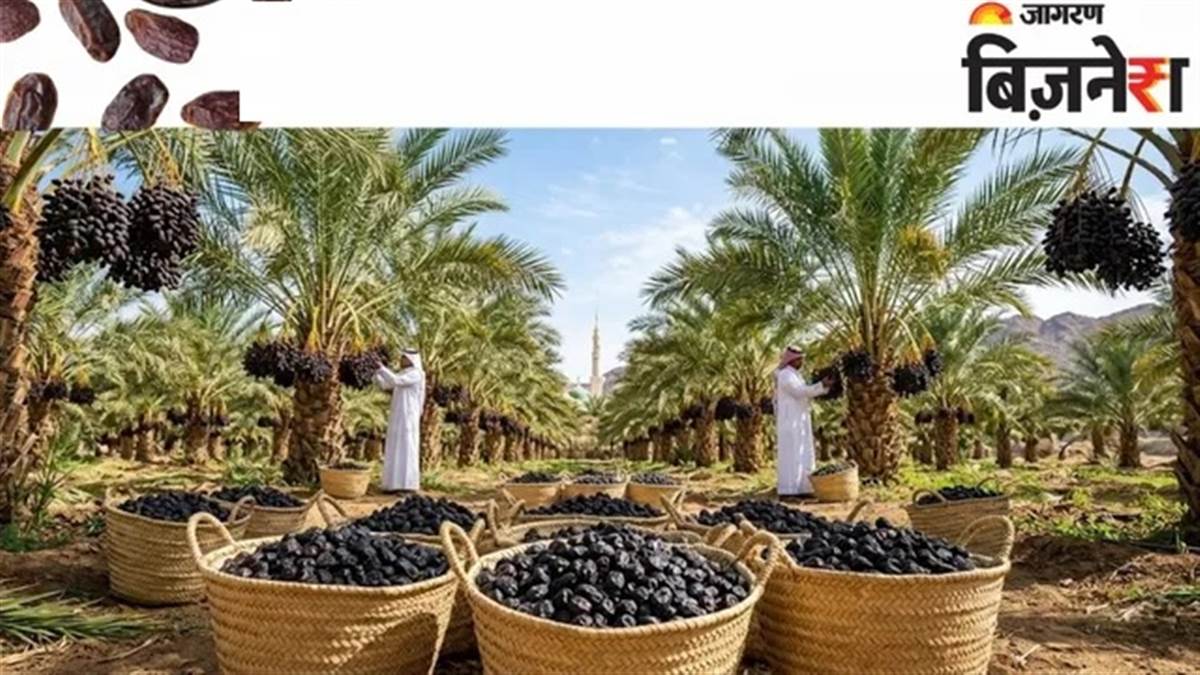 EPFO Interest Rate: ਹੋਲੀ ਤੋਂ ਪਹਿਲਾਂ ਖੁਸ਼ਖਬਰੀ ਤਾਂ ਮਿਲ ਗਈ, ਪਰ ਖਾਤੇ 'ਚ ਕਦੋਂ ਆਉਣਗੇ ਵਿਆਜ ਦੇ ਹਜ਼ਾਰਾਂ ਰੁਪਏ; ਚੈੱਕ ਕਰੋ ਤਰੀਕ