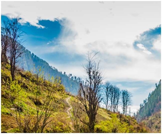 Uttarakhand Hill Stations: ਉਤਰਾਖੰਡ ਦੇ ਇਹ 5 ਹਿੱਲ ਸਟੇਸ਼ਨ ਬਹੁਤ ਹੀ ਖੂਬਸੂਰਤ ਹਨ, ਘੱਟ ਬਜਟ 'ਚ ਕਰੋ ਸ਼ਾਨਦਾਰ ਯਾਤਰਾ