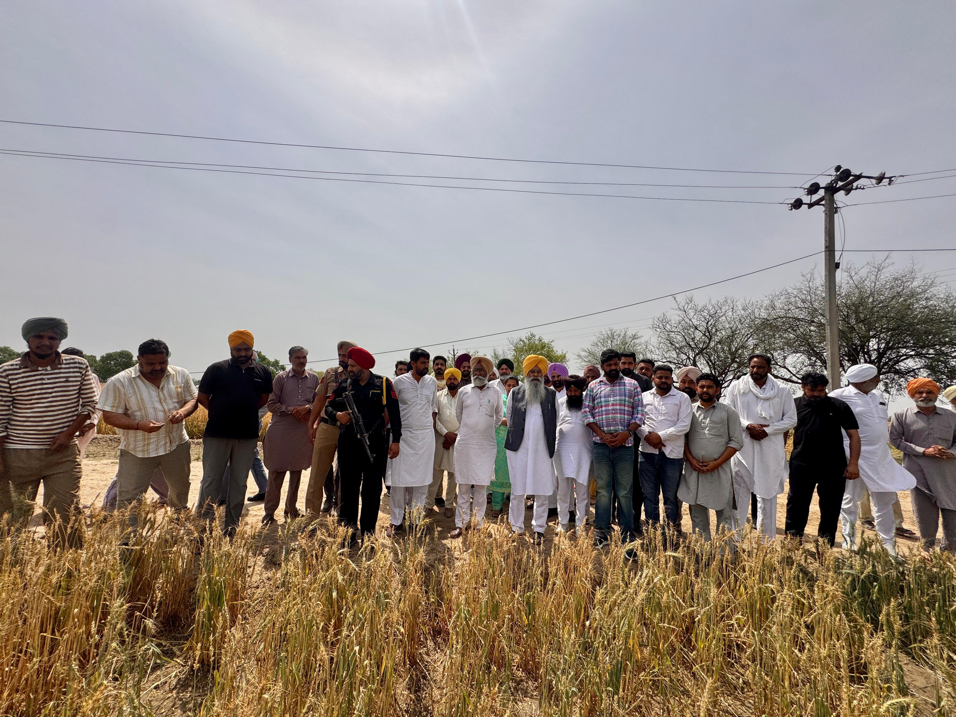 ਕਿਸਾਨਾਂ ਨੂੰ ਹਰ ਮਦਦ ਦੇਣ ਲਈ ਸਰਕਾਰ ਪੂਰੀ ਤਰ੍ਹਾਂ ਵਚਨਬੱਧ : ਖੁੱਡੀਆਂ