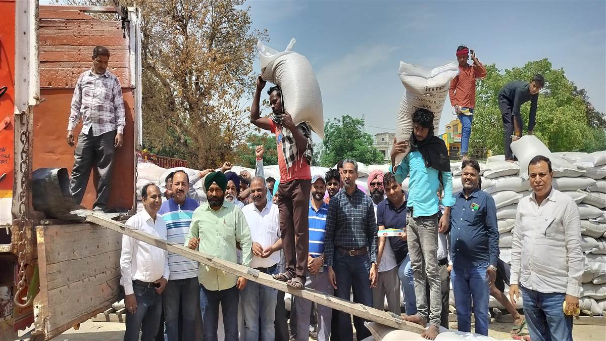 ਰਾਜਪੁਰਾ ਅਨਾਜ ਮੰਡੀ ਵਿਖੇ 543 ਮੀਟ੍ਰਿਕ ਟਨ ਕਣਕ ਦੀ ਹੋਈ ਸਰਕਾਰੀ ਖਰੀਦ
