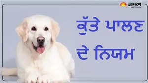 ਇਸ ਦੇਸ਼ 'ਚ ਪਾਲਤੂ ਜਾਨਵਰਾਂ ਦੀ ਕਸਟਡੀ ਨੂੰ ਲੈ ਕੇ ਬਣਿਆ ਨਵਾਂ ਕਾਨੂੰਨ; ਜੱਜ ਦੀ ਭੂਮਿਕਾ ਵੀ ਹੋਈ ਤੈਅ