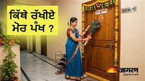 Vastu Tips : ਸਿਰਫ਼ ਘਰ ਨਹੀਂ, ਇਨ੍ਹਾਂ 4 ਸਥਾਨਾਂ 'ਤੇ 'ਮੋਰ ਪੰਖ' ਰੱਖਣ ਨਾਲ ਖੁੱਲ੍ਹਦੇ ਹਨ ਤਰੱਕੀ ਦੇ ਰਾਹ