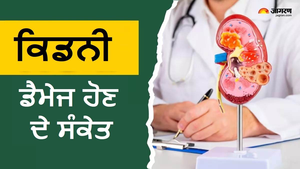ਪਿਸ਼ਾਬ 'ਚ ਦਿਸਣ ਵਾਲੇ ਇਹ 5 ਲੱਛਣ ਕਰਦੇ ਹਨ ਕਿਡਨੀ ਖਰਾਬ ਹੋਣ ਦਾ ਇਸ਼ਾਰਾ, ਤੁਰੰਤ ਭੱਜੋ ਡਾਕਟਰ ਕੋਲ
