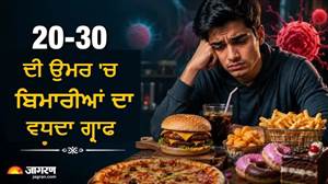 'ਕਦੇ-ਕਦਾਈਂ ਖਾਣ ਨਾਲ ਕੁਝ ਨਹੀਂ ਹੋਵੇਗਾ...', ਸੋਚਣ ਵਾਲੇ ਸੰਭਲ ਜਾਣ! ਡਾਈਟ 'ਚ 10% ਜੰਕ ਫੂਡ ਵੀ ਵਧਾਉਂਦਾ ਹੈ ਕੈਂਸਰ ਦਾ ਖ਼ਤਰਾ