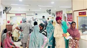 ਫ਼ੋਨਾਂ ਦੀ ਟੂੰ-ਟੂੰ ਤੋਂ ਬਾਅਦ ਬੈਂਕਾਂ 'ਚ ਲੱਗੀਆਂ ਭੀੜਾਂ: ਪੰਜਾਬ ਸਰਕਾਰ ਵੱਲੋਂ ਖ਼ਾਤਿਆਂ 'ਚ ਪੈਸੇ ਆਉਂਦੇ ਹੀ ਔਰਤਾਂ ਦੀਆਂ ਲੱਗੀਆਂ ਲੰਬੀਆਂ ਲਾਈਨਾਂ