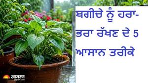 ਬਰਸਾਤ 'ਚ ਕਿਉਂ ਸੜਨ ਲੱਗਦੀਆਂ ਹਨ ਪੌਦਿਆਂ ਦੀਆਂ ਜੜ੍ਹਾਂ? ਬਗੀਚੇ ਨੂੰ ਹਰਾ-ਭਰਾ ਰੱਖਣ ਲਈ ਰੱਖੋ 5 ਗੱਲਾਂ ਦਾ ਧਿਆਨ