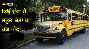 ਸਕੂਲ ਬੱਸਾਂ ਕਿਉਂ ਨਹੀਂ ਹੁੰਦੀਆਂ ਲਾਲ ਜਾਂ ਸਫੈਦ ? ਕੀ ਹਨ ਪੀਲੇ ਰੰਗ ਪਿੱਛੇ ਵਿਗਿਆਨ ਨਾਲ ਜੁੜੇ ਦਿਲਚਸਪ ਕਾਰਨ
