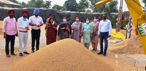 ਝੋਨੇ ਦੀ ਖ਼ਰੀਦ ਸਬੰਧੀ ਪ੍ਰਬੰਧ ਪੁਖਤਾ : ਸੁਰਭੀ ਮਲਿਕ