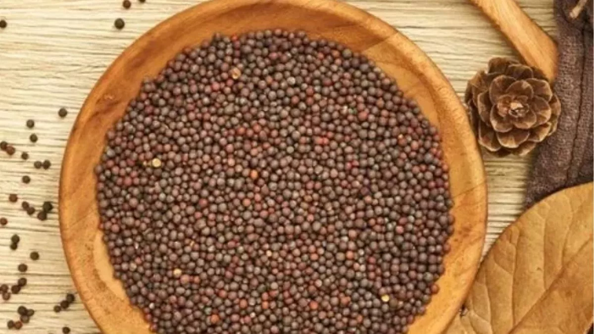 Mustard Seeds Benefits : ਸਰ੍ਹੋਂ ਦੇ ਬੀਜ ਸਿਹਤ ਲਈ ਹੀ ਨਹੀਂ ਸਗੋਂ ਚਮੜੀ ਲਈ ਵੀ ...