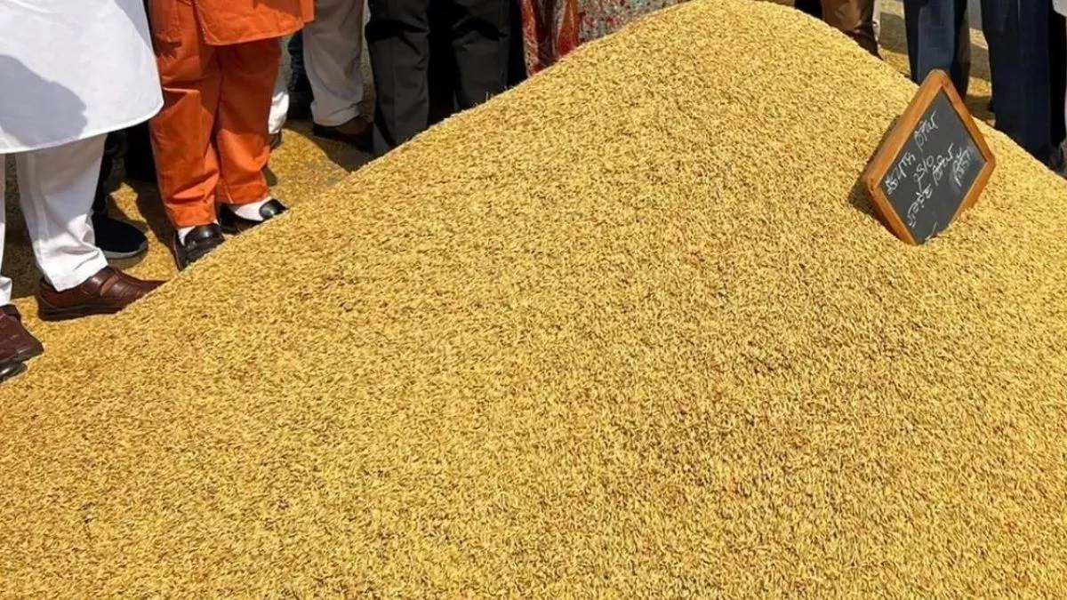 ਪੋਰਟਲ ਖੁੱਲ੍ਹਣ ਦੇ ਬਾਵਜੂਦ ਵੀ ਕਿਸਾਨਾਂ ਦੀਆਂ ਵਧੀਆਂ ਚਿੰਤਾਵਾਂ, ਮੰਡੀ 'ਚ ਇਸ ਕਾਰਨ ਨਹੀਂ ਵਿਕ ਰਿਹੈ ਝੋਨਾ