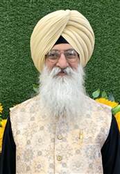 ਡੀਜੇ ਅਤੇ ਆਰਕੈਸਟਰਾ ਦੇ ਸ਼ੋਰ ਨੇ ਬਦਲਿਆ ਵਿਆਹਾਂ ਦਾ ਰੰਗ