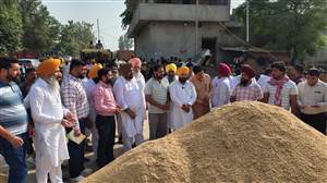 ਵਿਧਾਇਕ ਰੰਧਾਵਾ ਨੇ ਕਰਵਾਈ ਝੋਨੇ ਦੀ ਸਰਕਾਰੀ ਬੋਲੀ ਸ਼ੁਰੂ