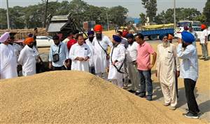 ਦਾਣਾ ਮੰਡੀ ’ਚ ਮੋਇਸਚਰ ਮੀਟਰਾਂ ਦੀਆਂ ਰੀਡਿੰਗ ਸ਼ੱਕ ਦੇ ਘੇਰੇ ’ਚ : ਭੰਡਾਲ/ਧਾਲੀਵਾਲ