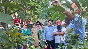 ਆਧੁਨਿਕ ਬਾਗ਼ਬਾਨੀ ਅਪਣਾਉਣ ਕਿਸਾਨ : ਡਾ. ਕੂਕਲ