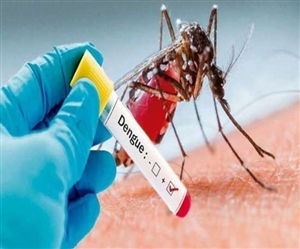 Dengue Outbreak : ਡੇਂਗੂ ਦੇ ਵਧਦੇ ਮਾਮਲਿਆਂ ਨਾਲ ਨਜਿੱਠਣ ਲਈ ਕੇਂਦਰ ਸਰਕਾਰ ਨੇ 9 ਸੂਬਿਆਂ 'ਚ ਭੇਜੀਆਂ ਟੀਮਾਂ, ਪੰਜਾਬ ਤੇ ਦਿੱਲੀ-ਯੂਪੀ 'ਚ ਅਲਰਟ
