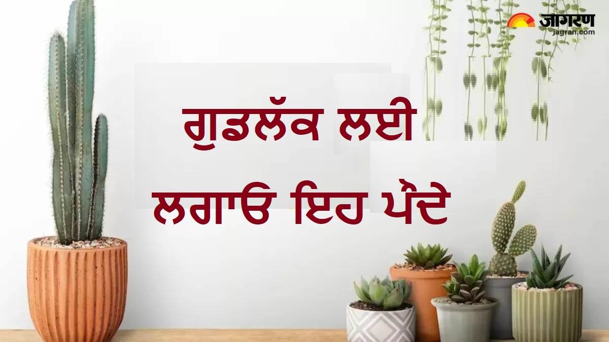 Plants Vastu Tips : ਇਹ ਪੌਦੇ ਲਿਆਉਣਗੇ ਤੁਹਾਡੇ ਘਰ ਵਿਚ ਸੁੱਖ ਤੇ ਖੁਸ਼ਹਾਲੀ, ਵਾਸਤੂ ਅਨੁਸਾਰ ਜਾਣੋ ਸਹੀ ਦਿਸ਼ਾ