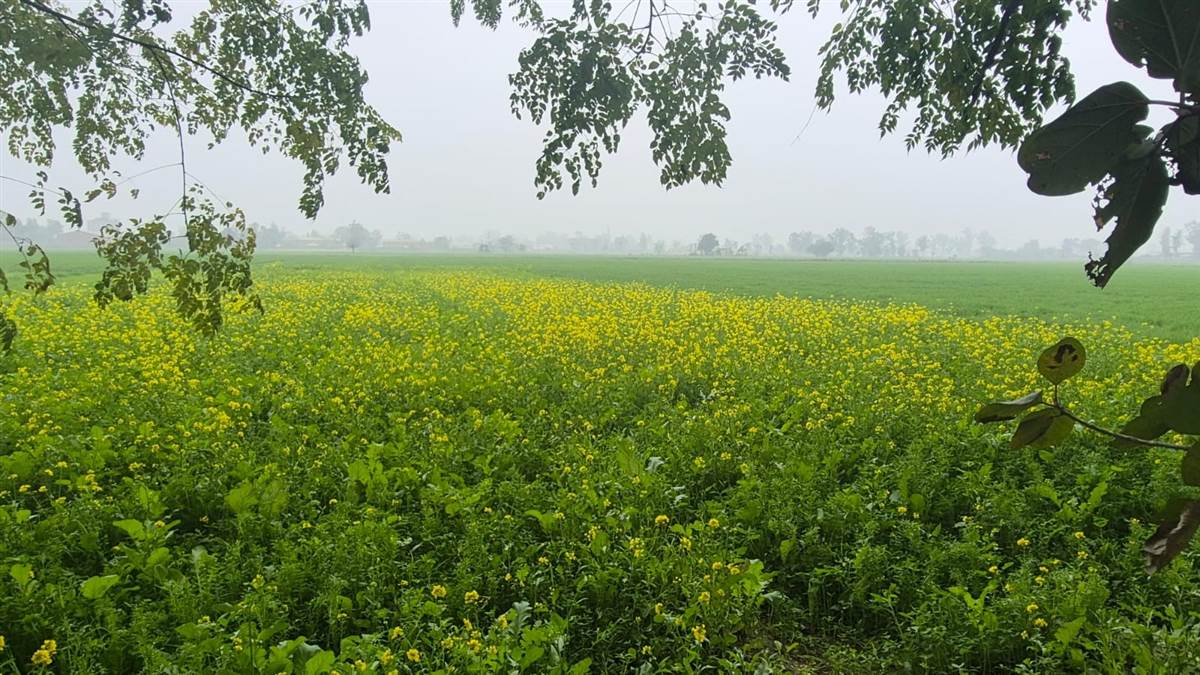 ਬਰਫੀਲੀਆਂ ਹਵਾਵਾਂ ਨੇ ਲੋਕਾਂ ਦੇ ਹੱਢ ਠਾਰੇ, ਠੰਢ ਦਾ ਕਹਿਰ ਜਾਰੀ