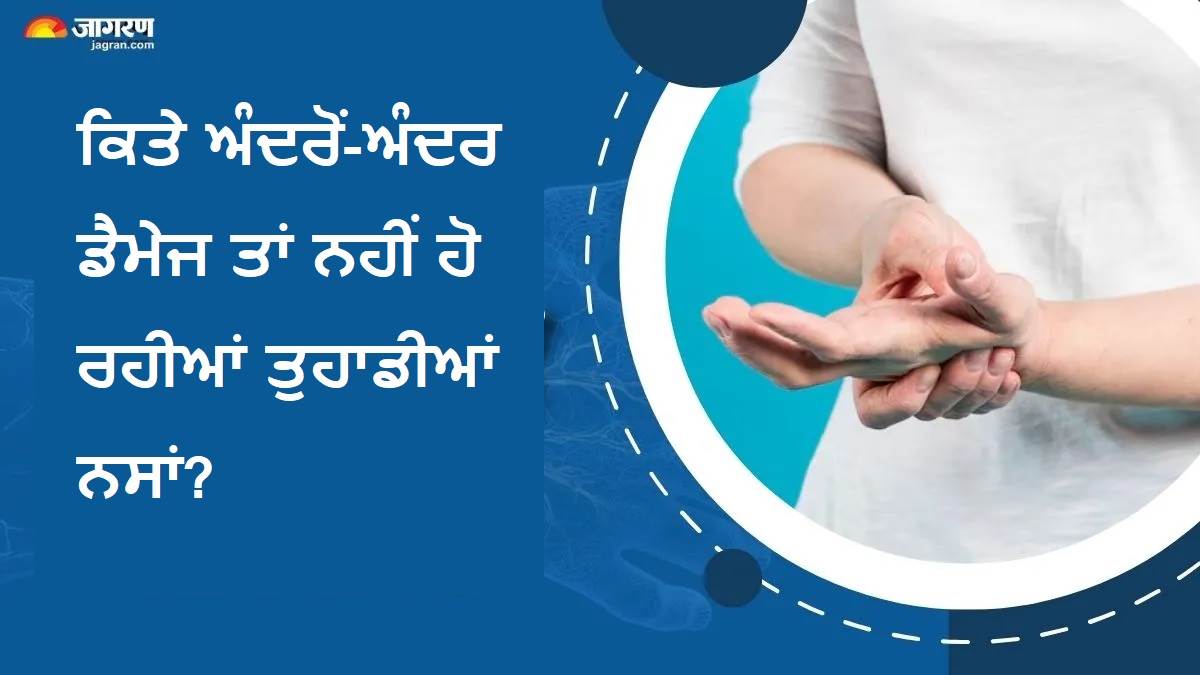 ਸਾਵਧਾਨ! ਕਿਤੇ ਅੰਦਰੋਂ-ਅੰਦਰ ਡੈਮੇਜ ਤਾਂ ਨਹੀਂ ਹੋ ਰਹੀਆਂ ਤੁਹਾਡੀਆਂ ਨਸਾਂ? ਜਾਣੋ ਸਰੀਰ 'ਚ ਛਿਪੇ ਇਹ 3 ਖ਼ਤਰਨਾਕ ਕਾਰਨ